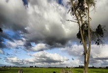 国足历届世预赛战绩如何？一路坎坷中有无高光时刻？